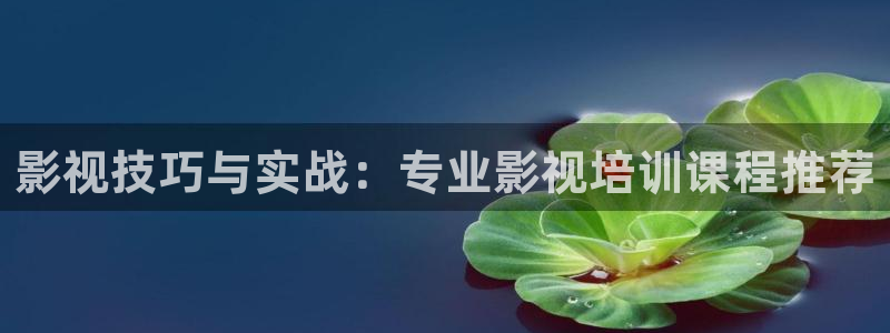 樱花视频h