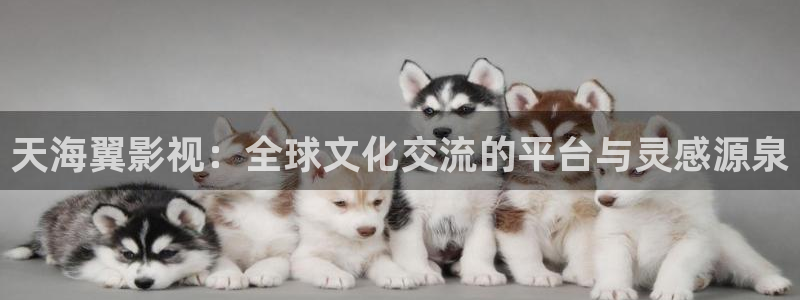 红樱花视频