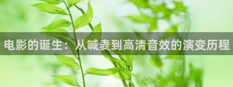 t樱花视频