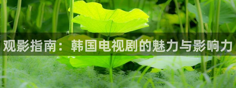 樱花视频沧元图