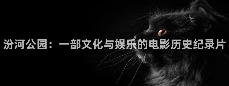樱花视频在线一区