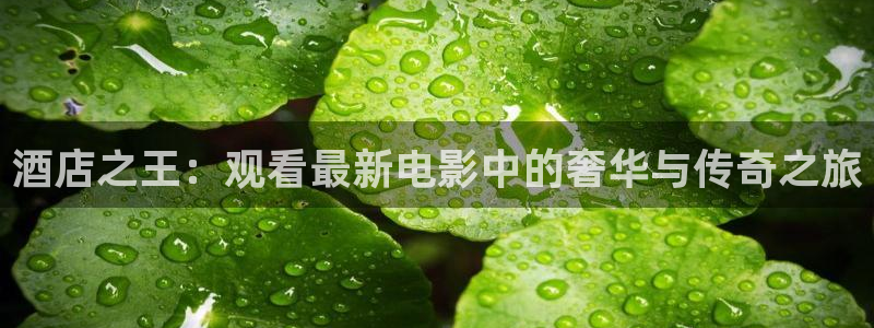 樱花视频樱花直播
