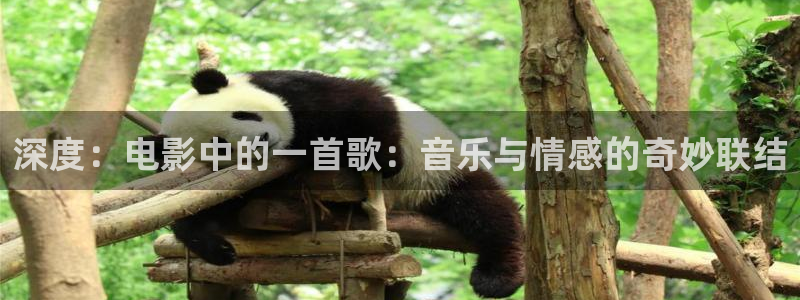 樱花影院电影电视剧免费观看网站