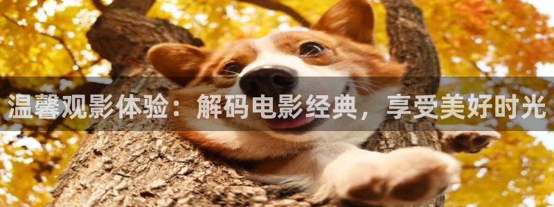 www樱花视频