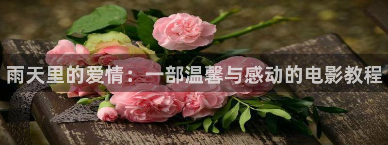 樱花视频里面的内容