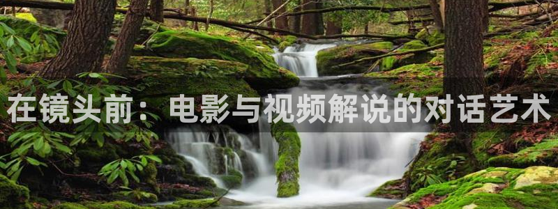 樱花视频网站在线观看