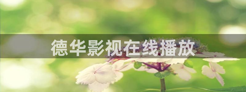 樱花视频直播