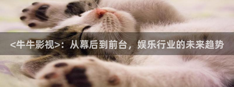 樱花视频频