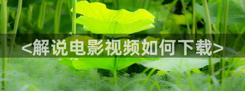 樱花视频免费观看电视剧动漫：<解说电影视频如何下载>