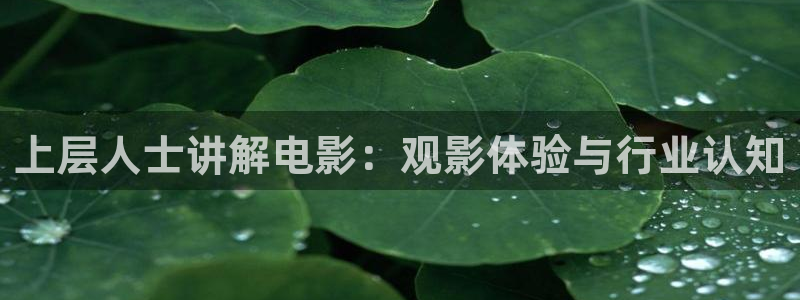 樱花影院网页版：上层人士讲解电影：观影体验与行业认知