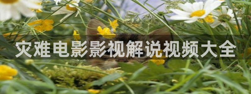 樱花影视电影大全：灾难电影影视解说视频大全