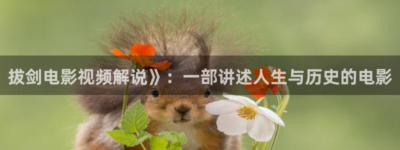 龙珠超高清免费看樱花影院：拔剑电影视频解说》：一部讲述人生与历史的电影