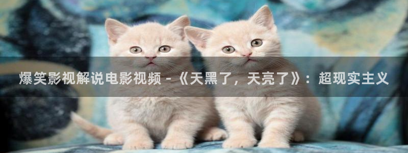 樱花视频动漫免费看：爆笑影视解说电影视频 - 《天黑了，天亮了》：超现实主义