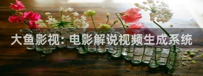 樱花视频老版本：大鱼影视: 电影解说视频生成系统