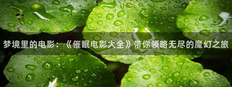 樱花视频最新版：梦境里的电影：《催眠电影大全》带你领略无尽的魔幻之旅