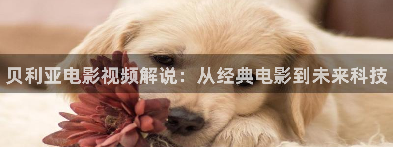 樱花影院电视剧免费中文：贝利亚电影视频解说：从经典电影到未来科技