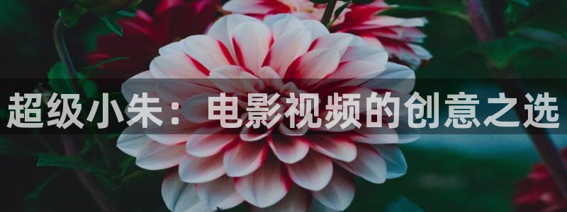樱花视频大全在线观看：超级小朱：电影视频的创意之选