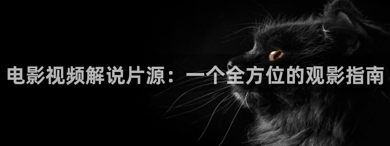 樱花视频号：电影视频解说片源：一个全方位的观影指南