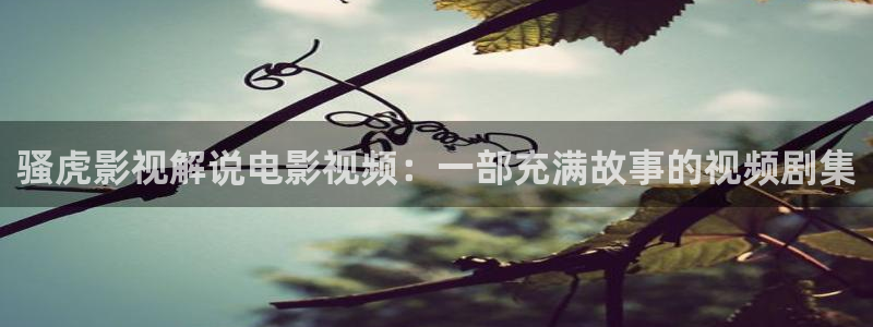 樱花视频完整：骚虎影视解说电影视频：一部充满故事的视频剧集