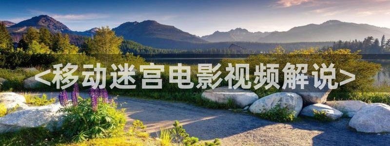 樱花视频大全动漫：<移动迷宫电影视频解说>