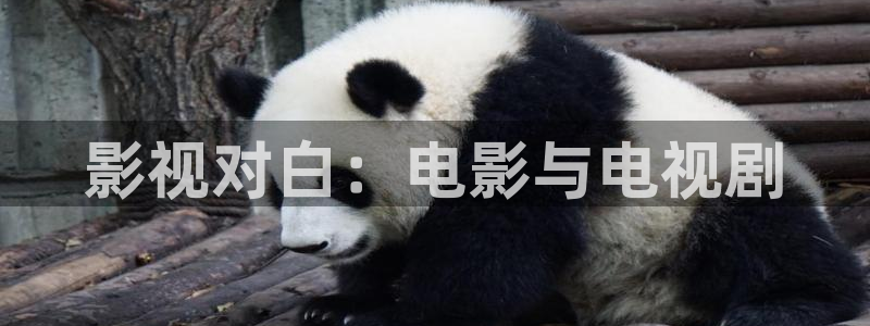 樱花影视大全免费观看：影视对白：电影与电视剧