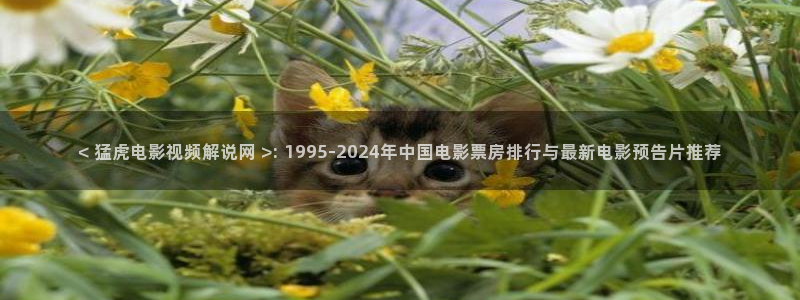 三级樱花影视：< 猛虎电影视频解说网 >: 1995-2024年中国电影票房排行与最新电影预告片推荐