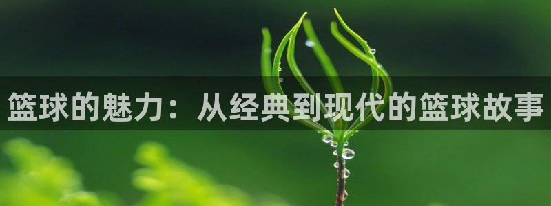 樱花视频片：篮球的魅力：从经典到现代的篮球故事