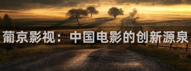 樱花视频在线看免费高清电视剧：葡京影视：中国电影的创新源泉