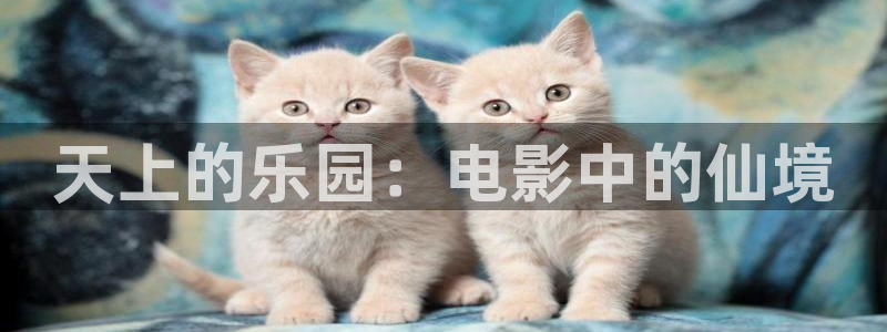关于樱花视频：天上的乐园：电影中的仙境