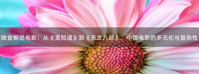 樱花视频完整：独食解说电影：从《鬼知道》到《天龙八部》，中国电影的多元化与复杂性