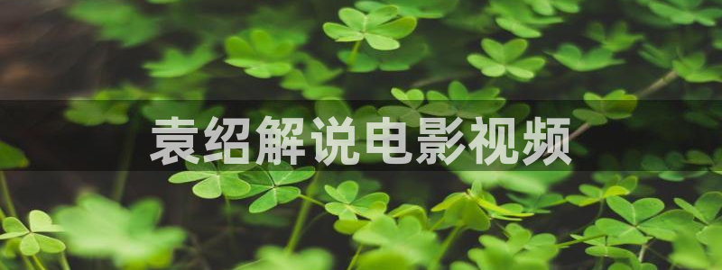 樱花视频91：袁绍解说电影视频