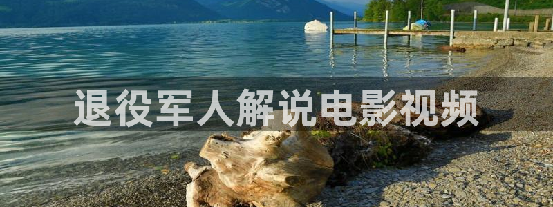 樱花影院在线观看电视剧全集免费：退役军人解说电影视频
