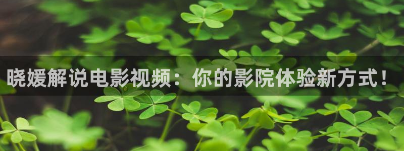 樱花影院在线免费看的电视剧