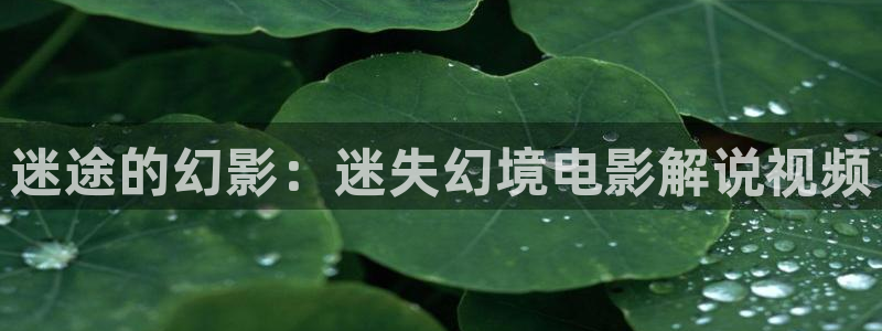 樱花视频国产