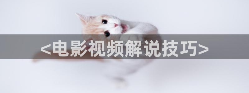 樱花影院在线观看：<电影视频解说技巧>