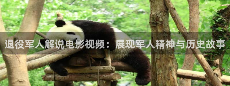 樱花影视传媒：退役军人解说电影视频：展现军人精神与历史故事