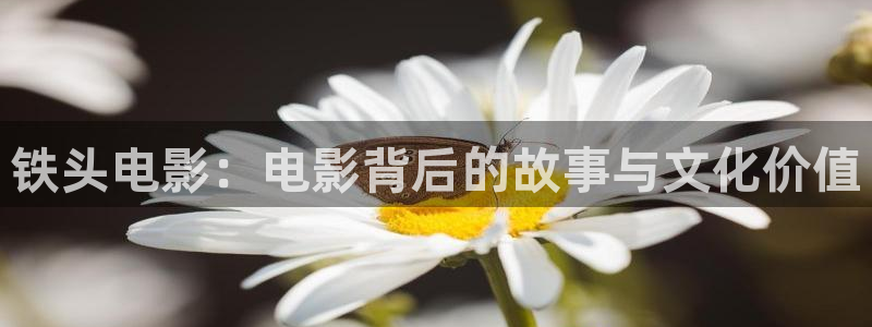 樱花视频手机版：铁头电影：电影背后的故事与文化价值