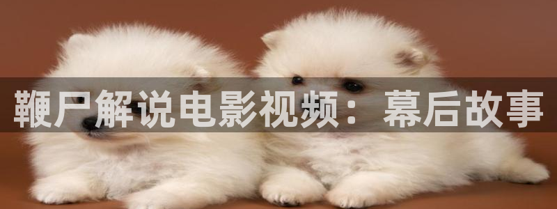 樱花视频了：鞭尸解说电影视频：幕后故事