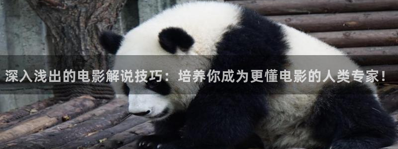 樱花视频免费大全：深入浅出的电影解说技巧：培养你成为更懂电影的人类专家！