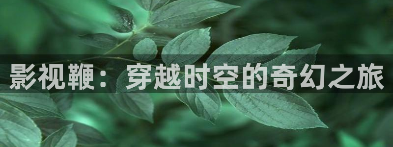 樱花影院免费看动漫：影视鞭：穿越时空的奇幻之旅