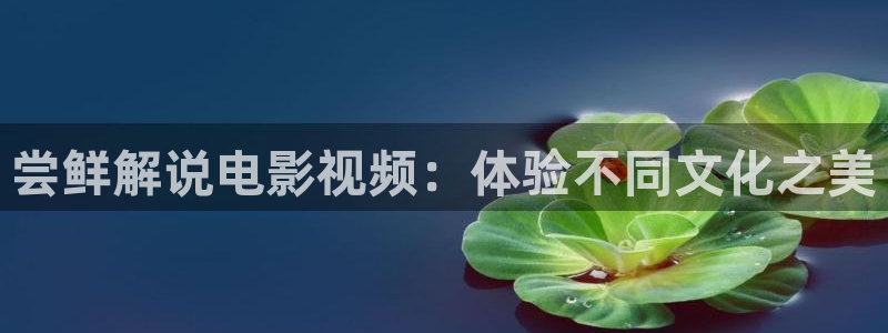 樱花视频8x8x：尝鲜解说电影视频：体验不同文化之美