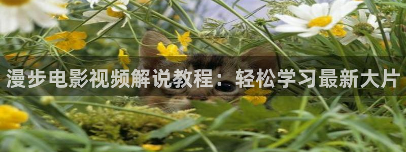 樱花影视热门电视剧有哪些：漫步电影视频解说教程：轻松学习最新大片