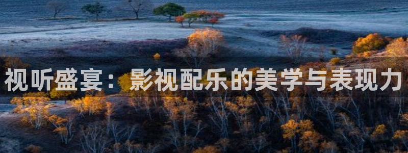 樱花视频最新电视剧更新：视听盛宴：影视配乐的美学与表现力