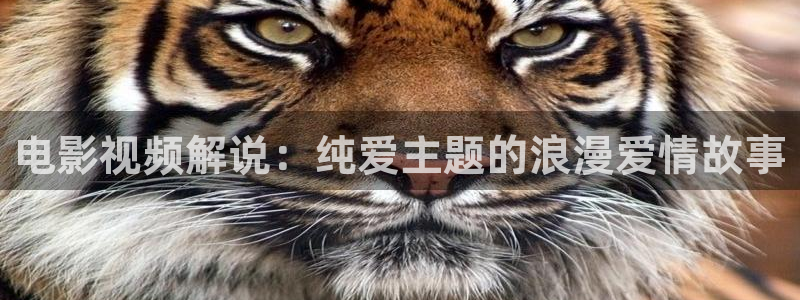 樱花视频m：电影视频解说：纯爱主题的浪漫爱情故事