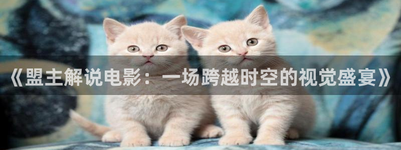 看樱花视频：《盟主解说电影：一场跨越时空的视觉盛宴》