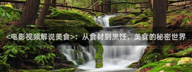 樱花视频免费观看高清：<电影视频解说美食>：从食材到烹饪，美食的秘密世界