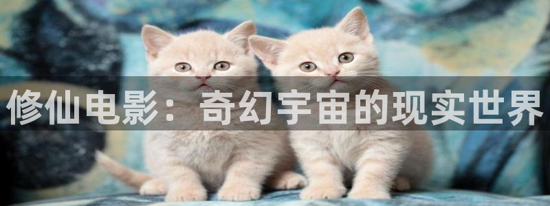 樱花影片免费：修仙电影：奇幻宇宙的现实世界