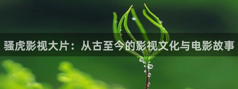 看樱花视频：骚虎影视大片：从古至今的影视文化与电影故事