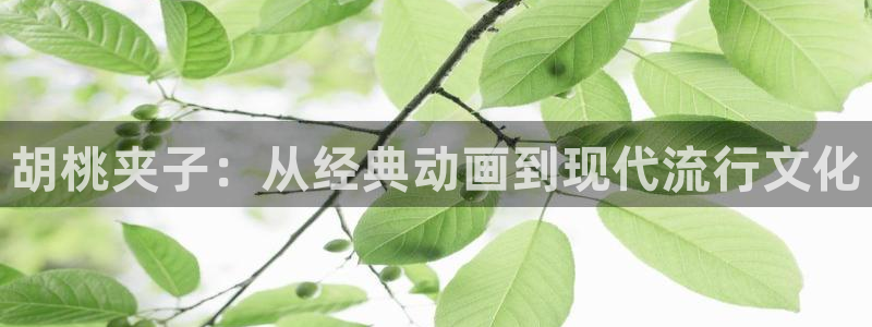 樱花视频导航：胡桃夹子：从经典动画到现代流行文化
