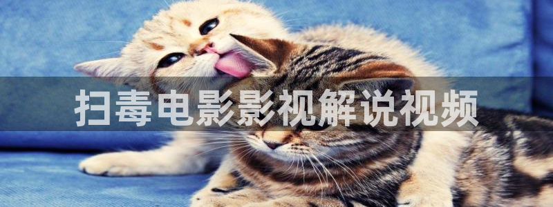 樱花视频高清版：扫毒电影影视解说视频